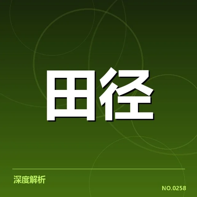 接力队阵容磨合背后,队伍整体配合水平引发各方关注