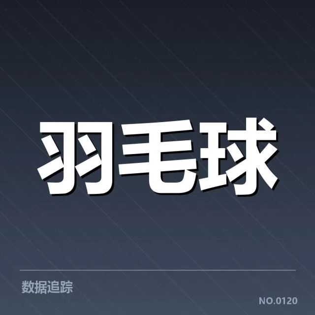 近期国羽女双双打组合变动:选手表现和阵容稳定性疑问