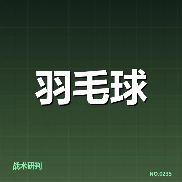羽毛球新星挑战赛：年轻选手未来何去何从